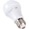 Лампа светодиодная JAZZWAY PLED POWER A60 15W E27 5000K 2853035