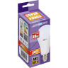 Лампа светодиодная JAZZWAY PLED POWER PLED-SP A65 30W E27 5000K 5019720